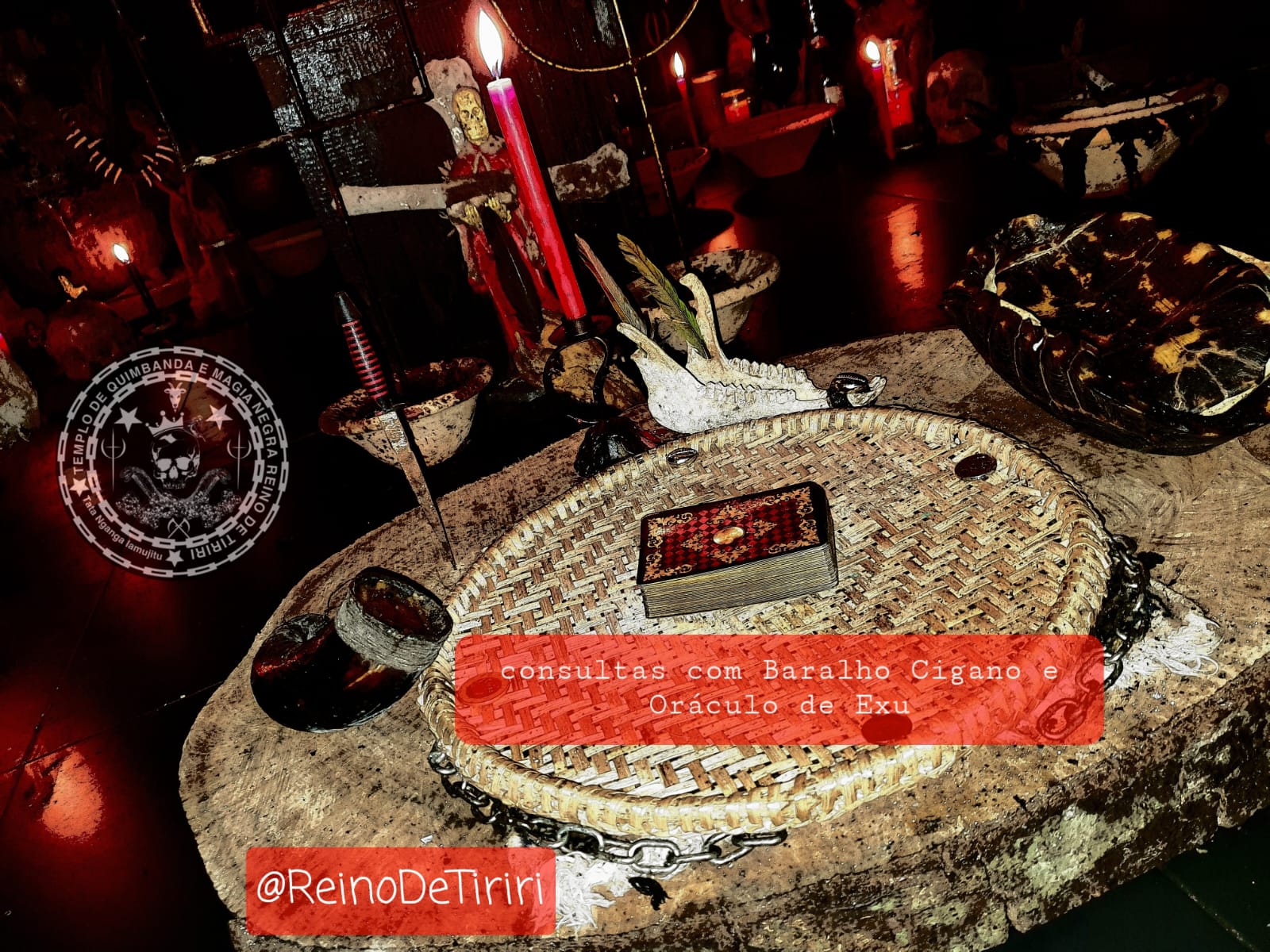 WhatsApp Image 2022-04-20 at 06.30.29