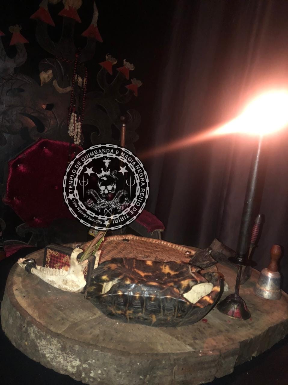 WhatsApp Image 2022-04-20 at 06.43.10