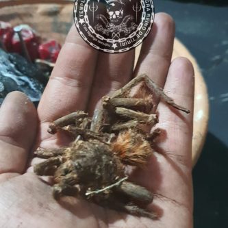 Feitiço Realizado em Nosso Templo