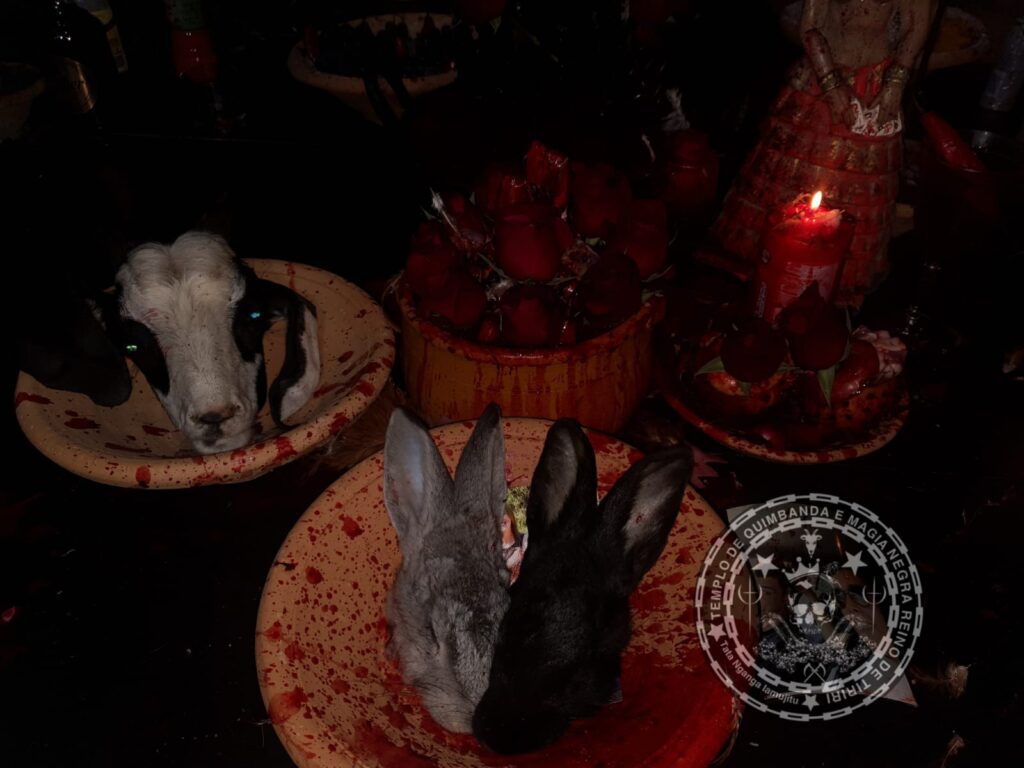 Depoimentos de Resultados