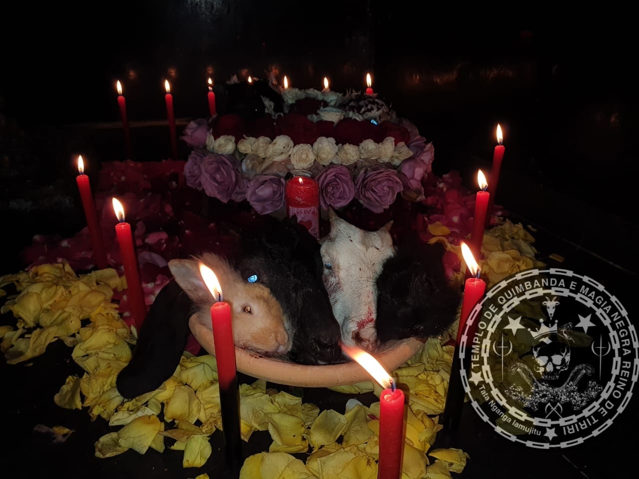 Feitiço Realizado em Nosso Templo