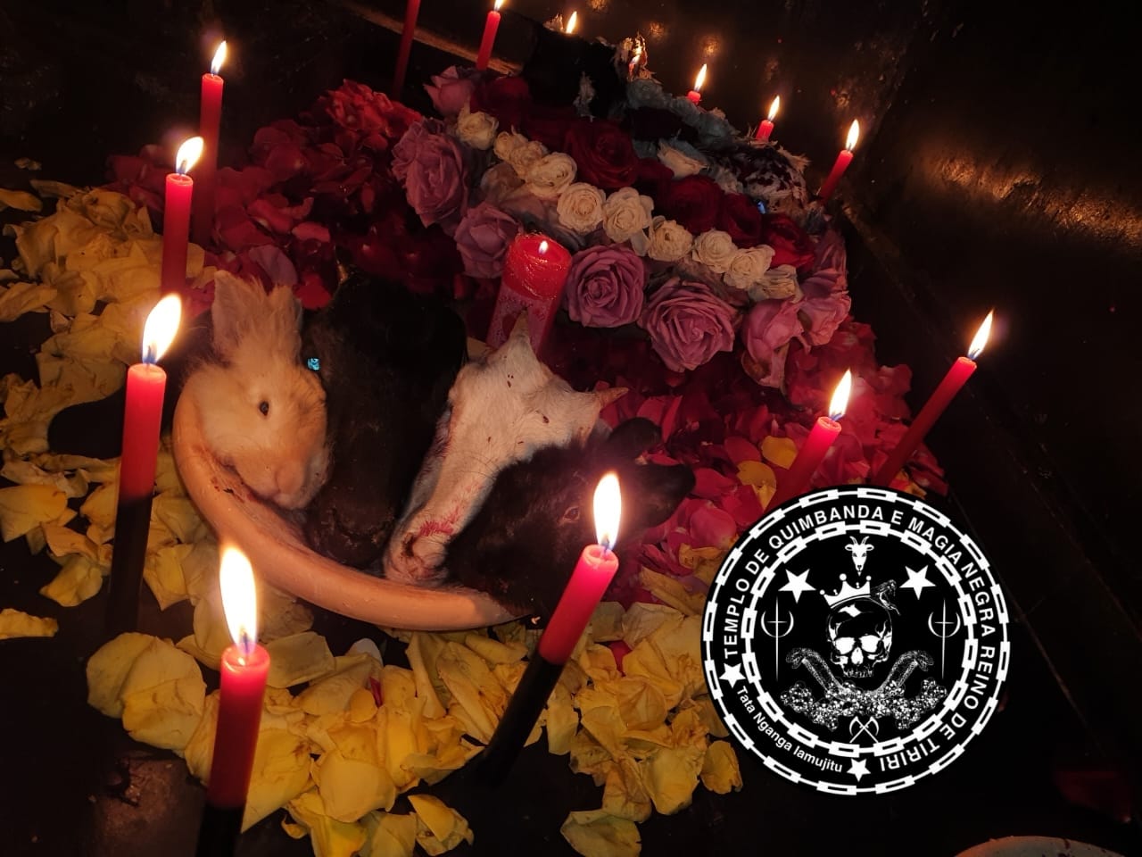 Feitiço Realizado em Nosso Templo