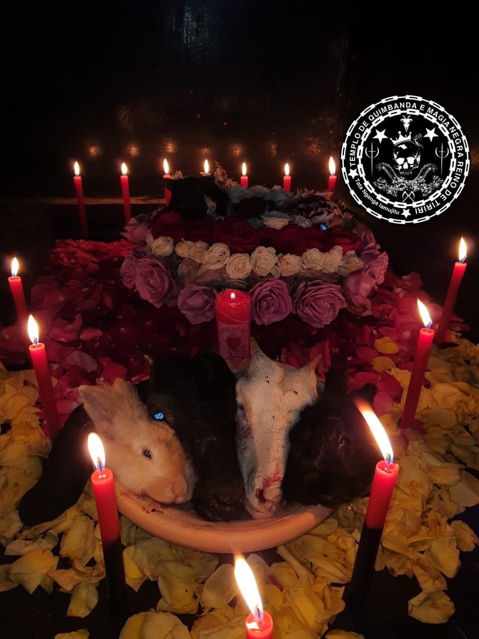 Feitiço Realizado em Nosso Templo