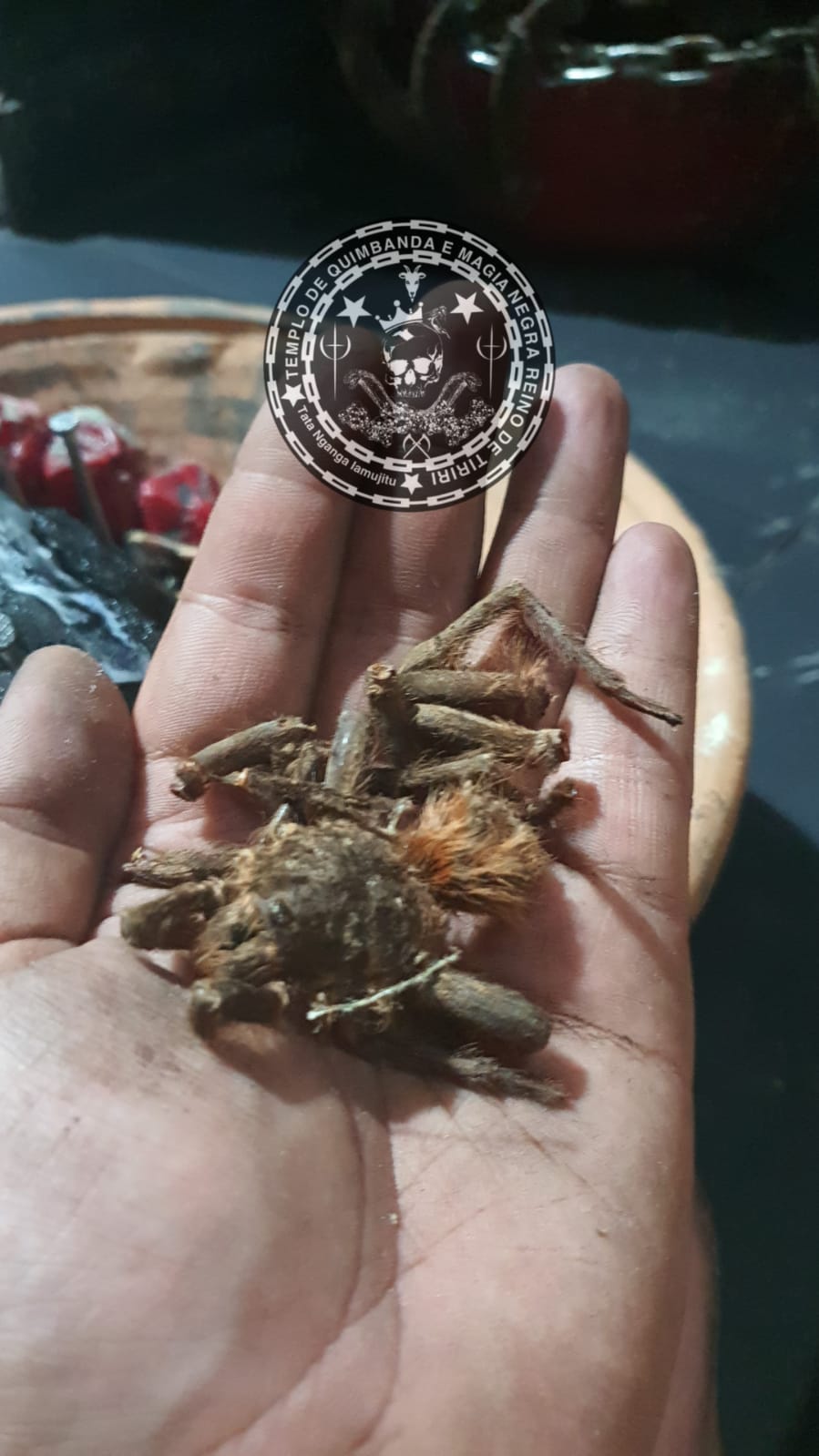 Feitiço Realizado em Nosso Templo