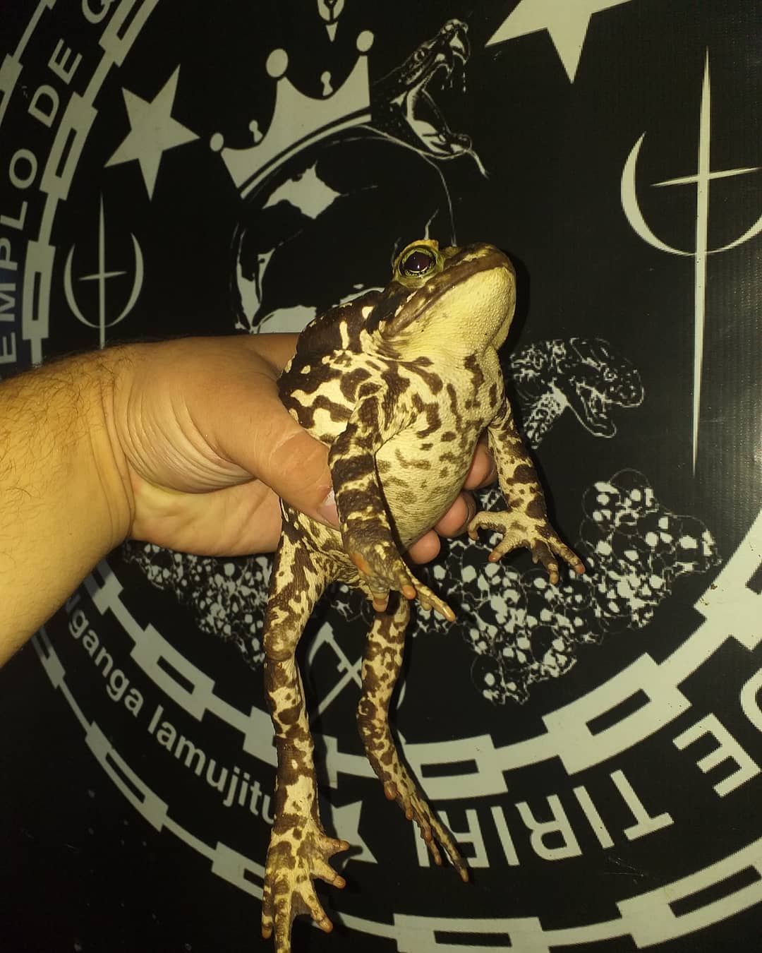 Feitiço Realizado em Nosso Templo